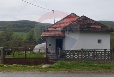Casa  de vanzare in Dragu  jud. Salaj  teren 1400 mp. - 3