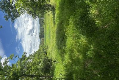 Casa batraneasca de vanzare Meline?ti jude?ul Dolj Casa batraneasca de vanzare Meline?ti jude?ul Dolj - 4