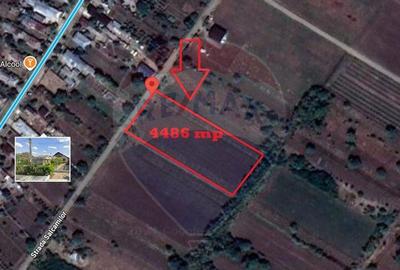 Teren intravilan ,4486mp in Gologanu - 3