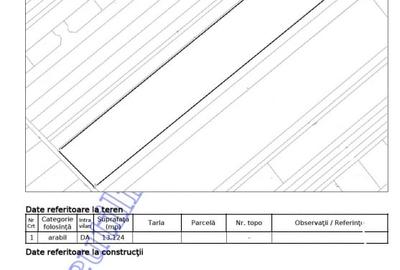 Teren Construcții intravilan de 13124 mp, în Buftea - 4