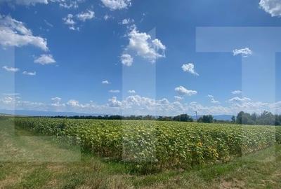De vanzare teren arabil - 4,58 ha, Moacsa, Covasna - 2