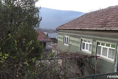 Vand casa curte si gradina in Branisca (la 15 Km de Municipiul Deva), suprafata de teren 2245 mp - 20