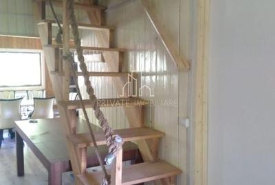 Casa /Cabana De Vanzare, 1000 Mp Teren, Ibanesti - 9