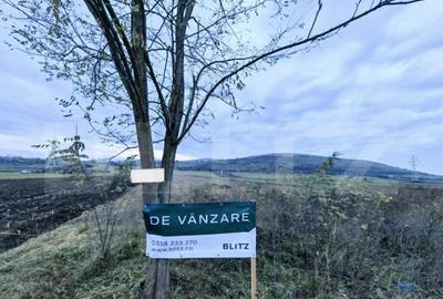 Teren de 2800 mp, în Bărăbanț