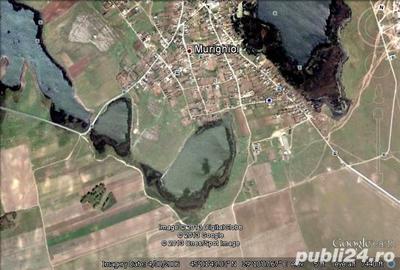 Teren de 3000 mp, în Murighiol - 10