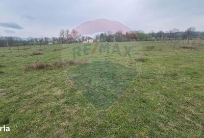 Spațiu comercial, în Central