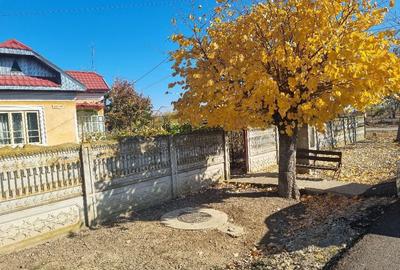 Casă cu 4 camere în Mărunței - 1