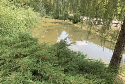 Casă cu 3 camere în Mădrigești - 6