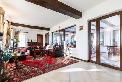 Refugiul Perfect de Lângă Timișoara - 11