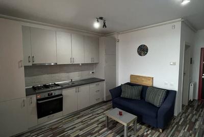 Apartament cu 2 camere semidecomandat, mobilat în Micălaca - 11