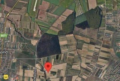 Teren de 11000 mp, în Nojorid - 3