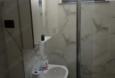 Apartament cu 2 camere decomandat în Precista - 1