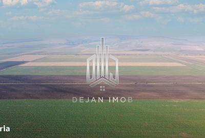 Spațiu comercial, în Moacșa - 1