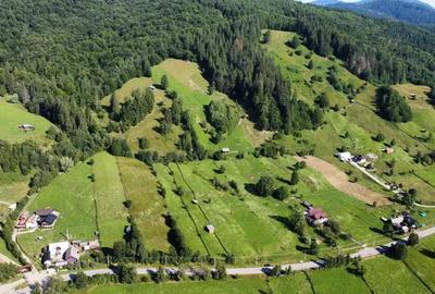 Teren intravilan 6527 mp Stulpicani - Bucovina - 3