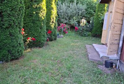 Valea Moldovei, casa P+1+pod, anexa, gradina 500 mp - 6