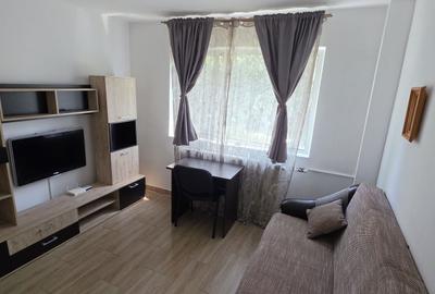 Garsonieră decomandată în Alexandru cel Bun - 7