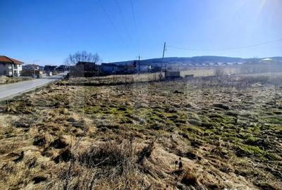 Teren în Chinteni - 3