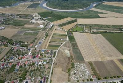 Teren intravilan 6.005 mp in Zadareni - 10