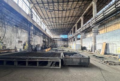 Hala 3.800 mp ,Oportunitati de Investitie - 1