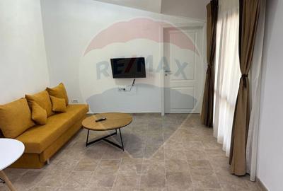 Apartament cu 2 camere decomandat în Gara de Nord - 8