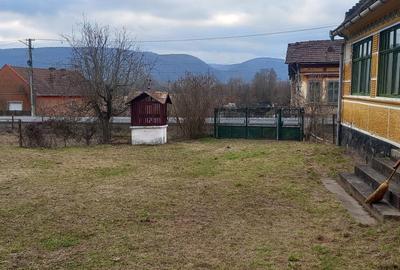 Casă cu 3 camere cu Teren 6400 Mp în Petriș - 1