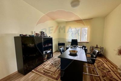 Oportunitate vie 54 ha la DN E85 - 3