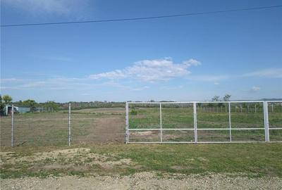 Teren de 4529 mp, în Potârnichești - 3