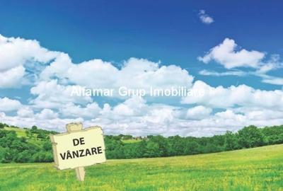 Vanzare Teren 5.000mp Magurele- Atomistilor - 1