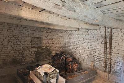 Casă cu Teren 1565 Mp în Sângătin - 3