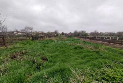 Casă cu Teren 1798 Mp în Iecea Mare - 6