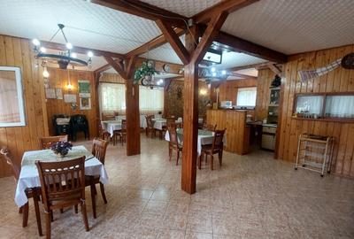 Pensiune turistica (afacere la cheie) Lepsa - 11