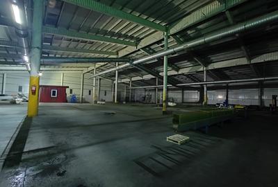 OPORTUNITATE!! - Hala industriala 3000mp, teren 6000mp, zona DN13 - 4