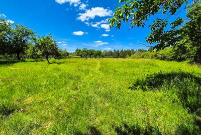 Teren de 9696 mp, în Spiridoni - 2