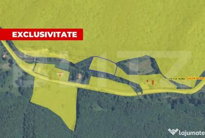 Teren de 5542 mp, în Întregalde - 1