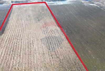 Teren pentru cabana 7.000mp in Hoghilag, Taramul Tubero... - 6