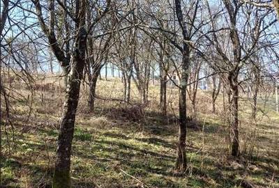 Spațiu comercial, în Coruia - 5