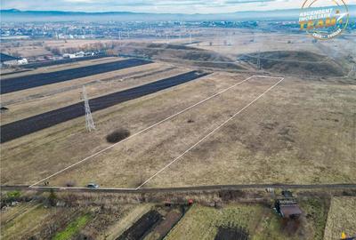 11.600 mp in Sfantu Gheorghe,deschidere: agroturism, investitie, ferma, comercial - 5