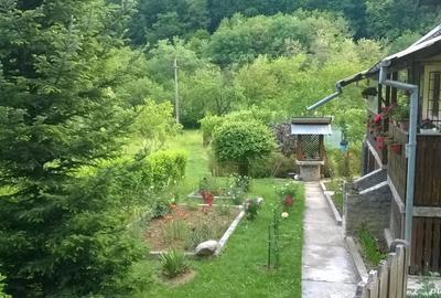 Casă cu 2 camere cu Teren 1800 Mp în Posești - 1