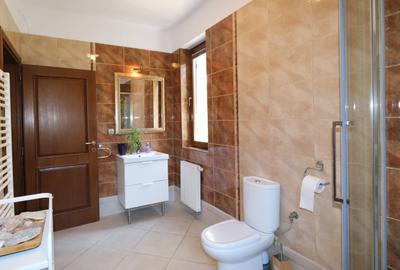 Oferta chirie casa noua  cu terasa gradina si garaj 3 masini Damaroaia Bucuresti - 24