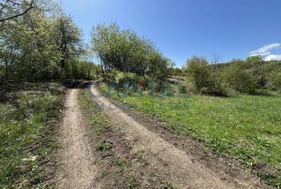 Teren intravilan 2200mp, Front 16m, sat. Padureni, Chinteni - 7