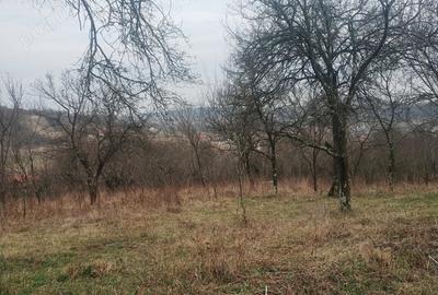 Teren de 2400 mp, în Crișeni - 2