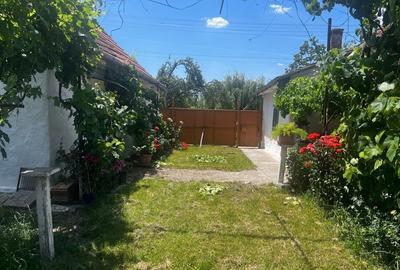 Casă cu 4 camere în Jamu Mare - 4