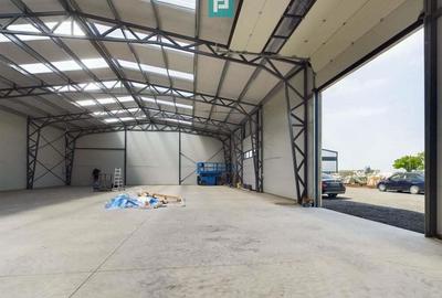 Hala noua in zona industriala Giarmata - 5