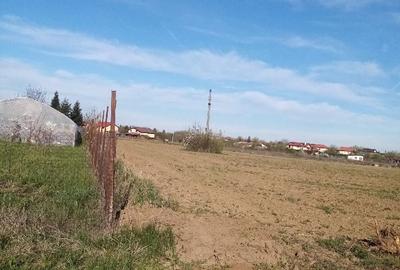 Teren de 105 mp, în Snagov - 7