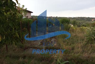Teren intravilan  ,1020 mp, Sibiu, Daia Noua - 11