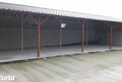 Teren de 2100 mp, în Gura Vitioarei - 8