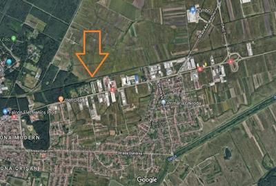 Teren Construcții intravilan de 7614 mp, în Lugojului - 2