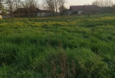 Teren de 900 mp, în Mihail Kogălniceanu - 1
