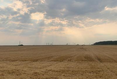 Stefanesti DJ200  Vanzare  Teren  Intravilan Suprafata Compacta 3 HA - 4