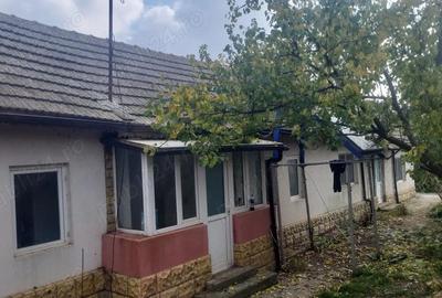 Casă cu 3 camere în Jurilovca - 10